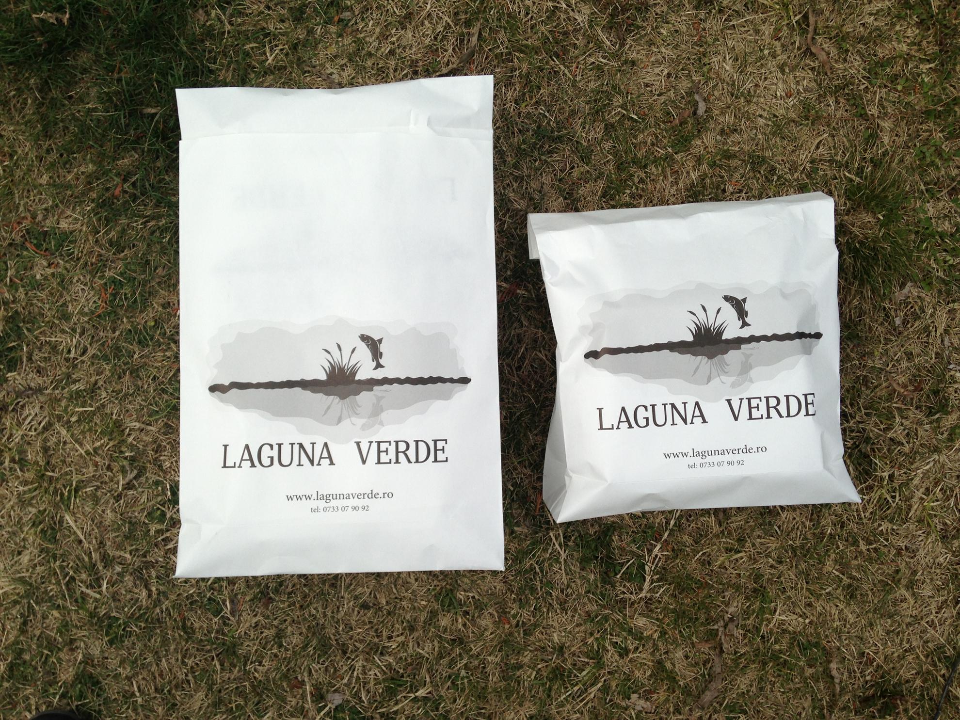 Laguna Verde - Balotesti Fieni 2013 - pescuit-crap-laguna-verde-martie-2013-servire.JPG